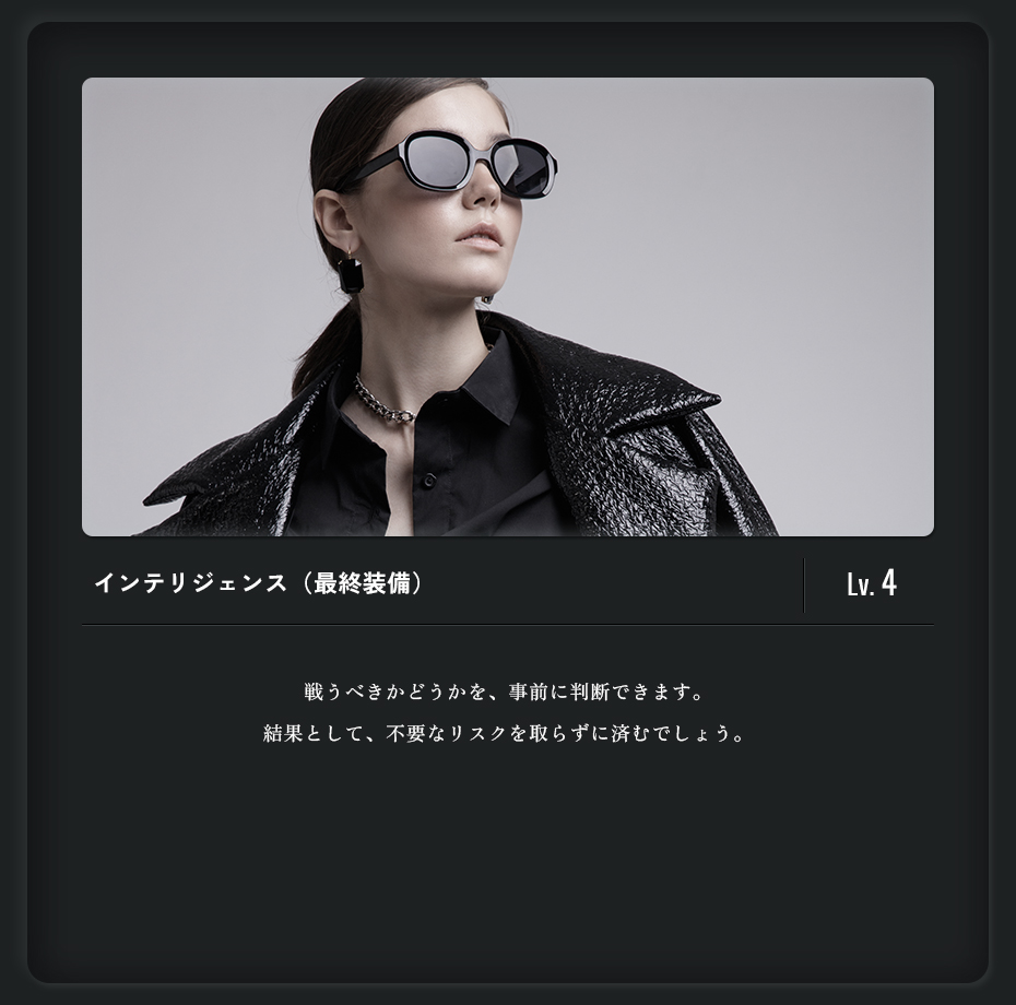 インテリジェンス（最終装備）